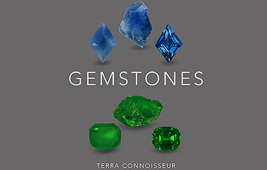 Gemstones Book Presentation in Tucson GJX