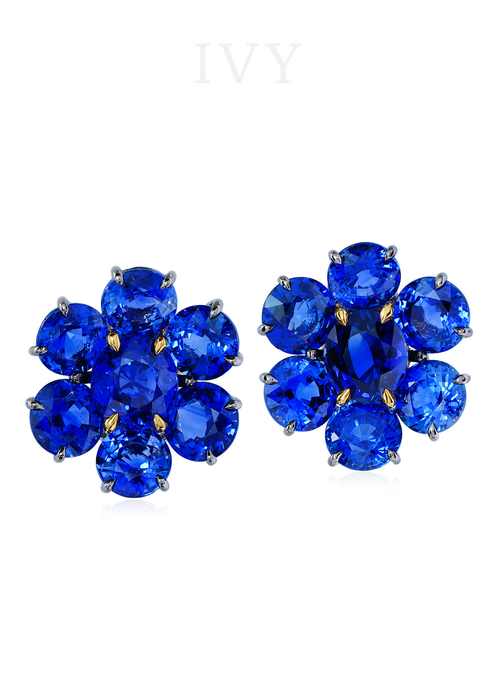 Blue Sapphire Full Circle Earrings