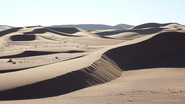 Namibian desert